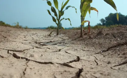 dry land