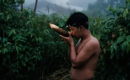 A man drinks wayusa early in the morning in Wichimi.