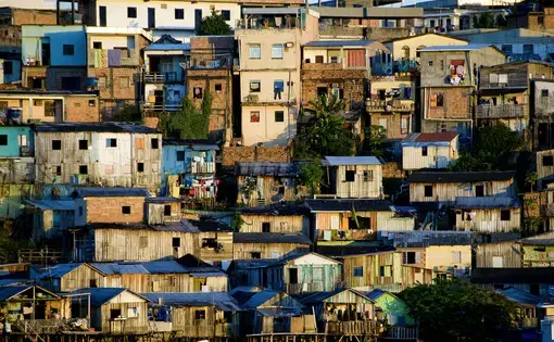 a cityscape in the Amazon