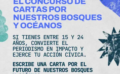 concurso cartas 2024