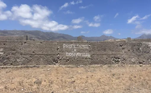 Vandalism near the Cuna del Alma construction site in Adeje, Tenerife reads "We protect biodiversity." Image by Brigid McCarthy. Spain, 2024. 