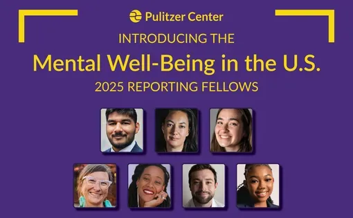 Congratulations to the 2025 Mental Well-Being in the U.S. Fellows. Graphic by Lucille Crelli. United States, 2025.