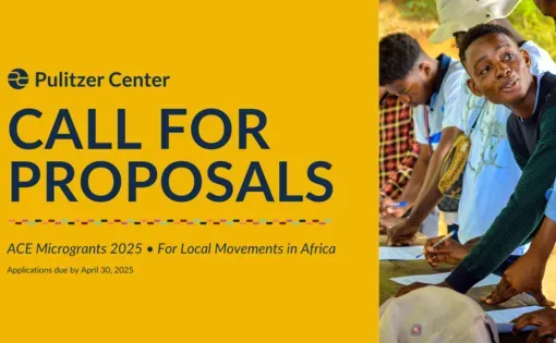Call for Proposals: ACE micro grants 2025 for local movements in Africa