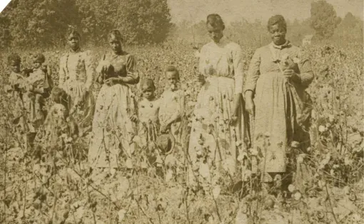 Women and children in a cotton field in the 1860s.