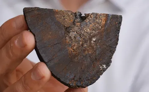 A man holds a dark brown rock that has been sliced down the middle to reveal yellow and orange inclusions.