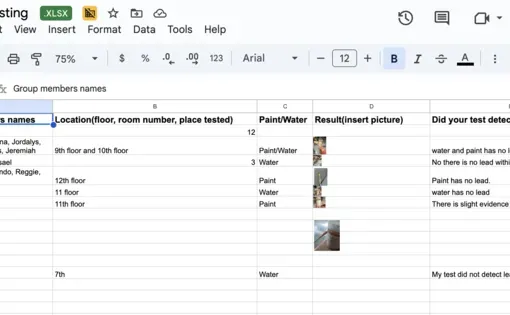 lead testing data spreadsheet