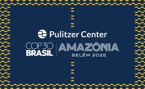 COP 30