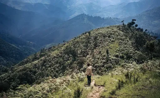 A man stands on a green field