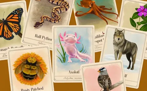 50 Species that save us