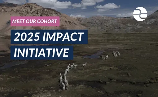 Meet Our Cohort: 2025 Impact Initiative