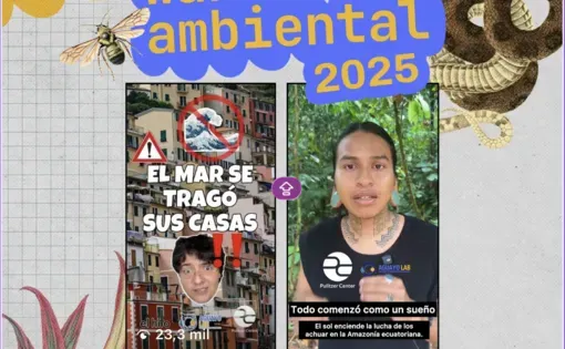 Waki ambiental thumbnail