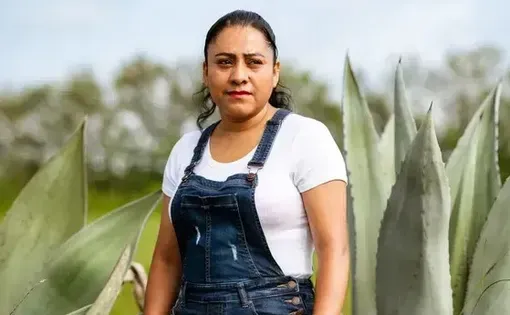 Climate Labor thumbnail