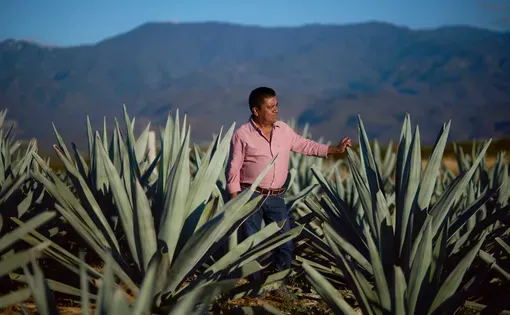 Armando Martínez Ruiz, 52, producer