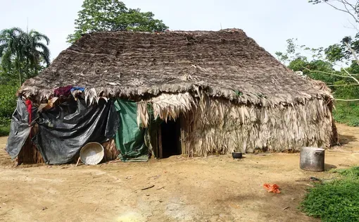 House in an indigenous community - Photo by Alfredo Himotono Yanomami