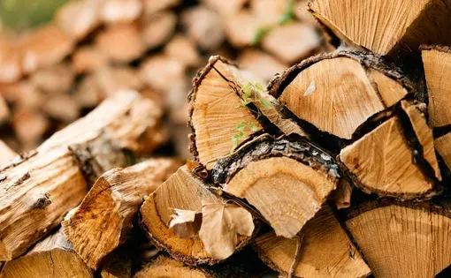 wood logs