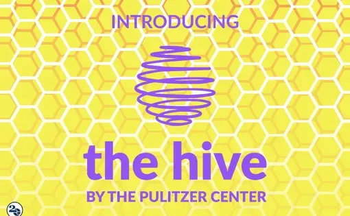 The Hive - a WhatsApp community by Pulitzer Center