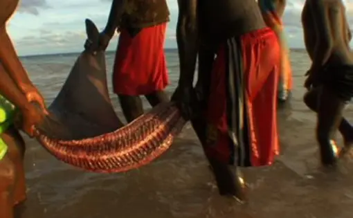 Image by Jennifer Redfearn, Carteret Islands, 2008.