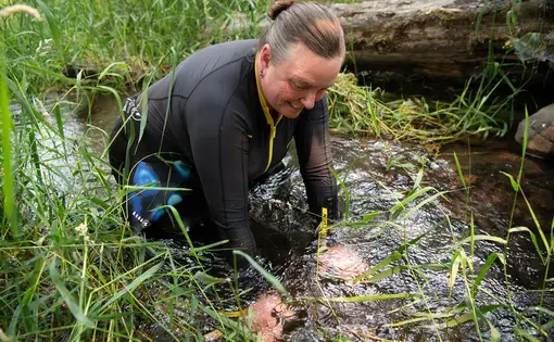 Christine O’Brien hunts for freshwater mussels