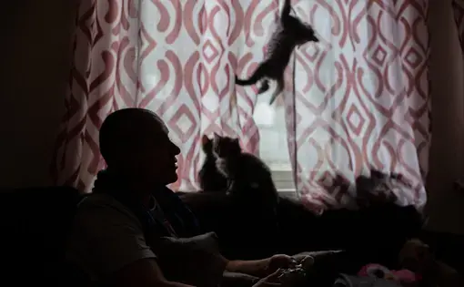Wael has a new litter of kittens at home in Bergen. Image by Bradley Secker. Norway, 2020.