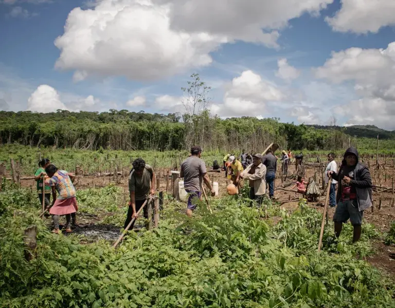 Could Indigenous Communities in Brazil Hold Key to Climate Justice ...