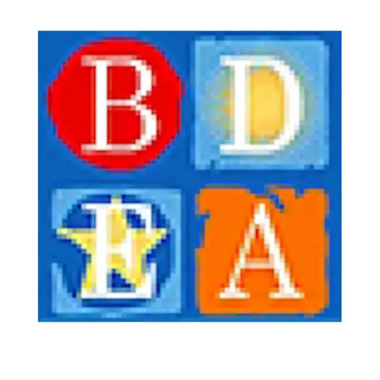 BDEA 2.0 Boston team logo