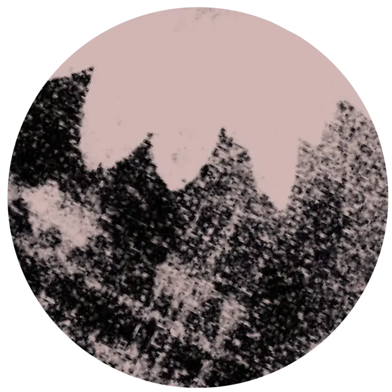 a black and white textural design
