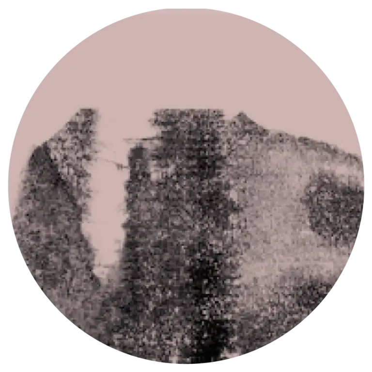 a black and white textural design