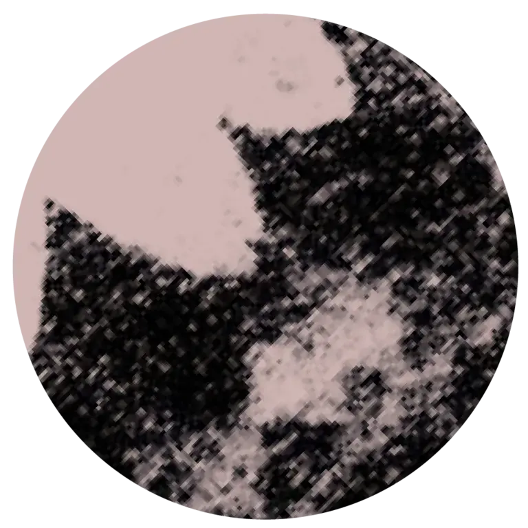a black and white textural design