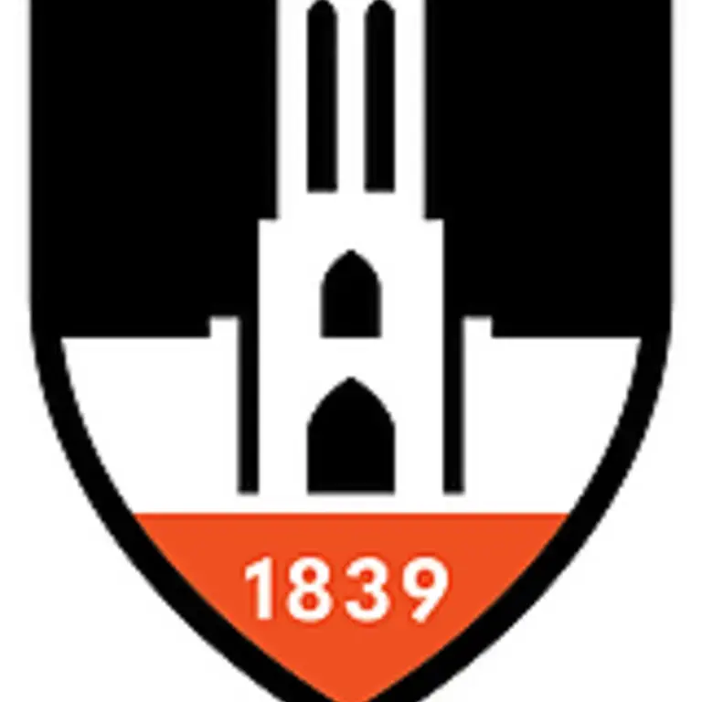 BCG Logo