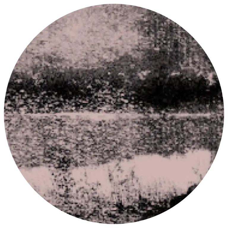 1619 User Icon
