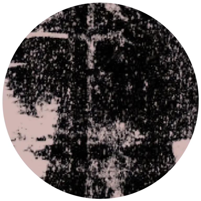 1619 User Icon