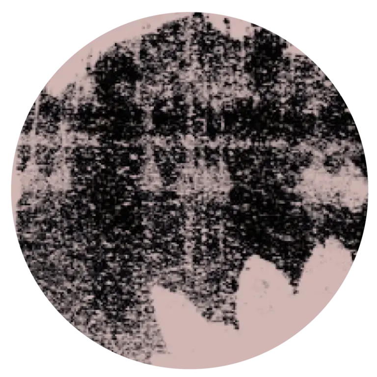 1619 User Icon