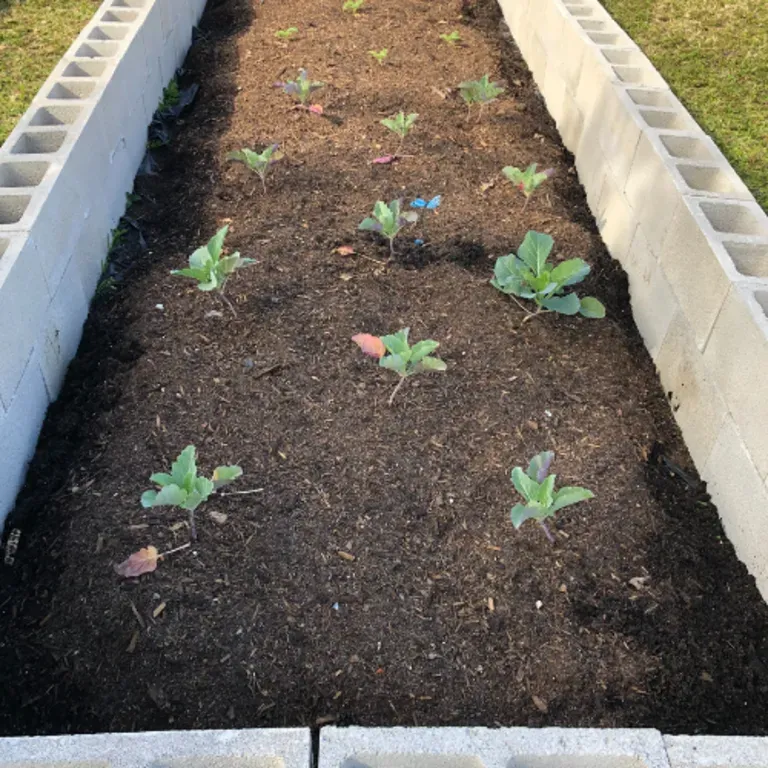 Da' Gardens logo - a flower bed