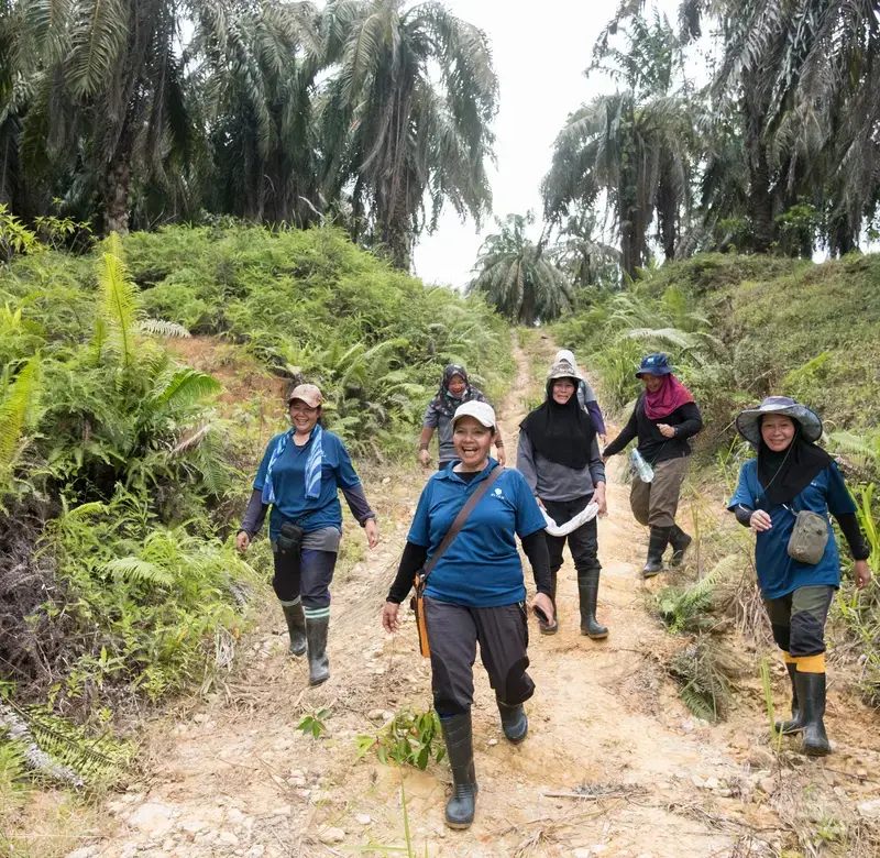 a group of women wearing environmental gear walk down a path lined with greenery