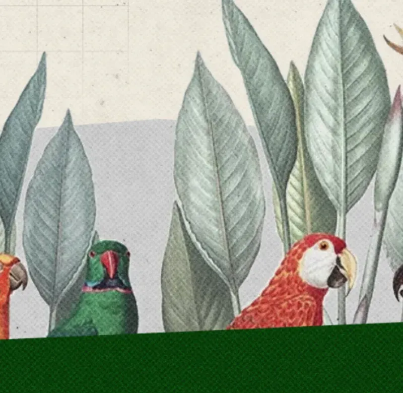 a line of tropical birds against foliage