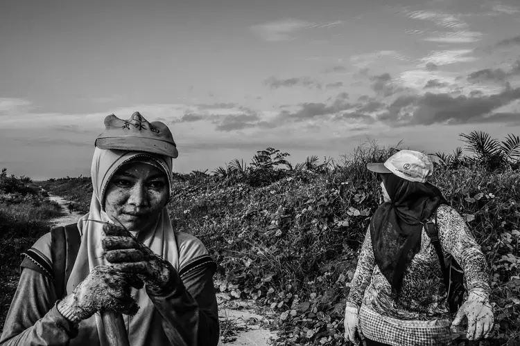 DAILY GRIND.&nbsp;Supraetun (left) and Asnia inside the plantation in Kandis, Riau, Indonesia. Image by Xyza Cruz Bacani. 2018.