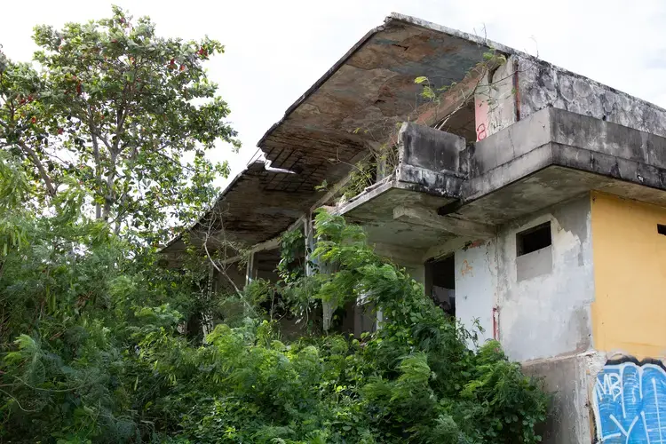 Abandoned buildings like this are often popular places for individuals to dump dogs. Image by Jamie Holt. United States, 2019.