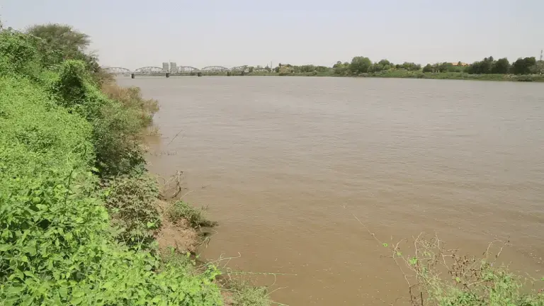 The Nile basin is rich in natural tangible and intangible resources, which are witnessing massive processes of grabbing in the recent decades. Image by Fredrick Mugira. Sudan, 2019.