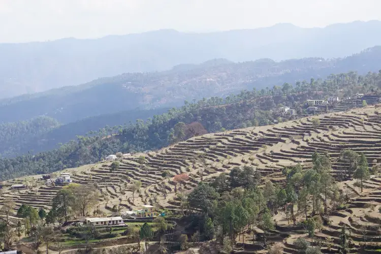 Water shortage in Uttarakhand has made farming even trickier on the slopes. Image by Esha&nbsp;Chhabra. India, 2017.