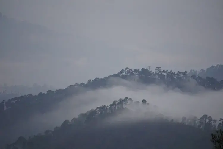 Once dense oak forests, the hills have seen a change in their ecology, which is making farming harder and putting a greater burden on the ecosystem. Image by Esha&nbsp;Chhabra. India, 2017.