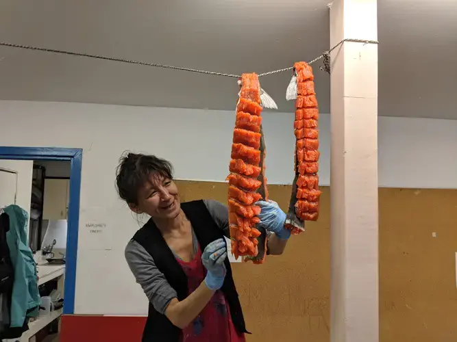 Sheila Veevee prepares arctic char that was donated by a local hunter to the Pangnirtung Soup Kitchen. Image by Julie De Meulemeester. Canada, 2018.&nbsp;