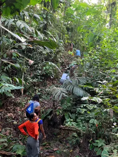 Near primary forest in Puerto Quito, Ecuador.&nbsp;Image by Ayanna Dickinson. Ecuador, 2019.
