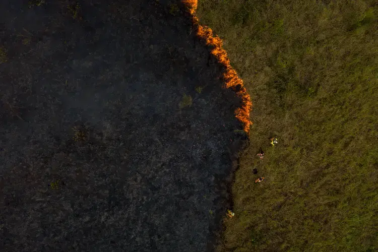 In Porto Velho, in the state of Rondônia, a prescribed burn spreads over pastures, threatening the surrounding forest. Image by Flavio Forner. Brazil, undated. 
