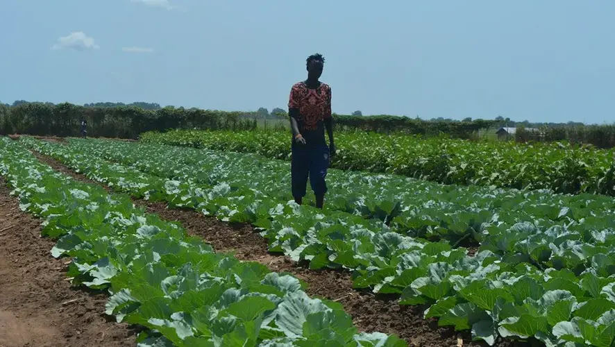 Young Farmer in Luri Surre Village, Northern Bari Payam - Central Equatoria State. Image by&nbsp;Paul Jimbo and David Mano-Danga. South Sudan, undated.