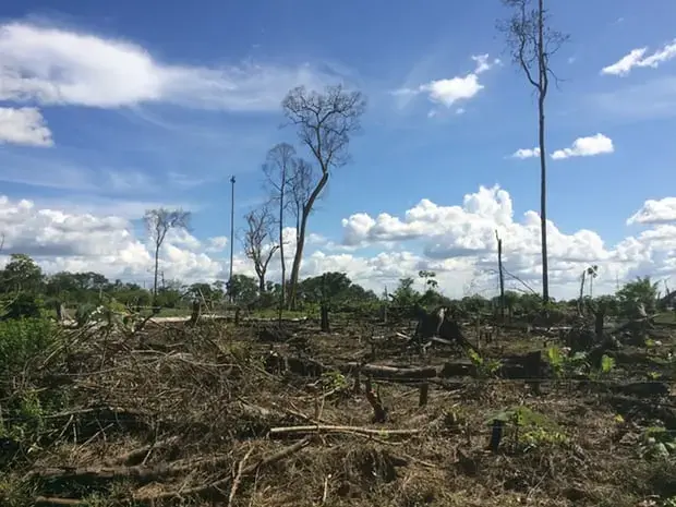 Recent deforestation outside El Retorno in Guaviare, Colombia. Image by Lisa Palmer. Colombia, 2017.&nbsp;
