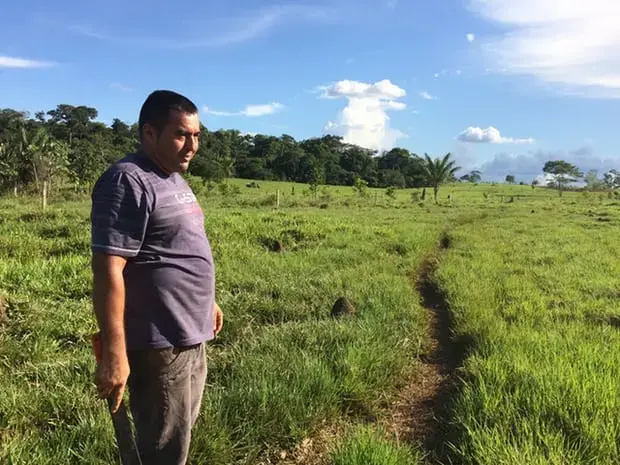 &nbsp;Vergara in his pasture. The termite mounds are evidence of poor soil quality to grow the grasses for cattle. Image by Lisa Palmer. Colombia, 2017.