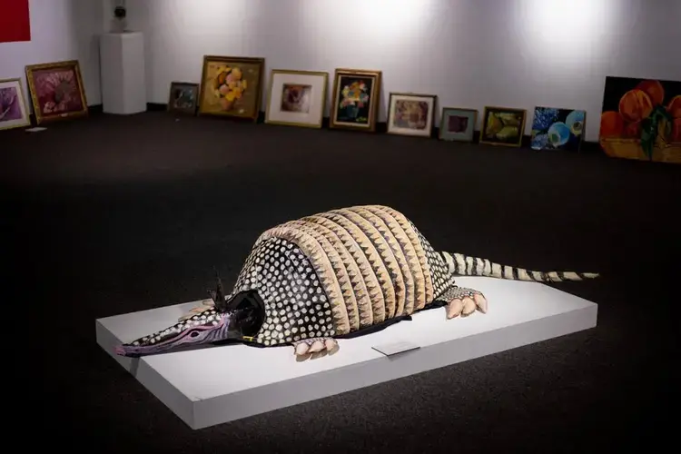 An armadillo puppet by artist Lisa Devon Barnes sits among art pieces from a continuing art exhibition on Thursday, July 16 at the SIU University Museum’s South Hall in Carbondale.&nbsp;Image by Brian Munoz. United States, 2020.