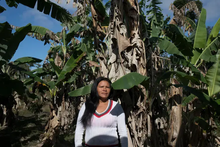 María Alejandra González, a Pemón woman, works in the field every day. Image by Fabiola Ferrero. Venezuela, 2020.