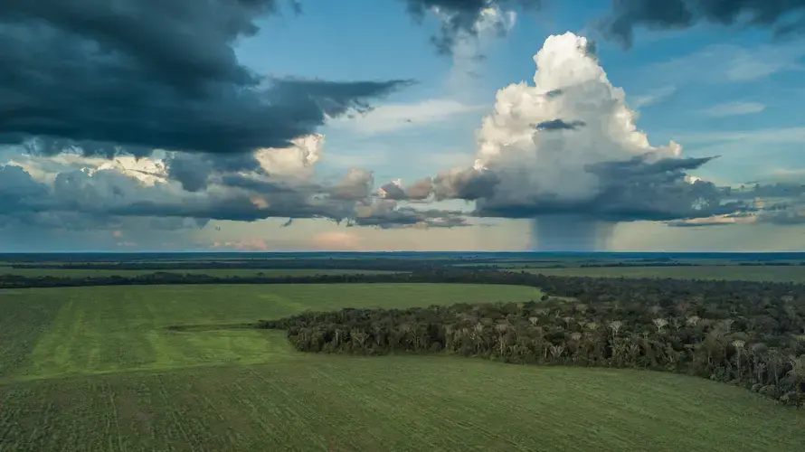 Soybean fields in Brazil have taken over what was formerly dense Amazon rainforest near Sinop, Mato Grosso. Image by Sam Eaton. Brazil, 2018.