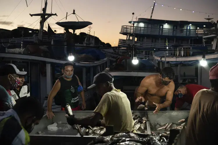 Men gather at a fish market in Manaus, Brazil, May 22, 2020. Image by Felipe Dana / AP Photo. Brazil, 2020.